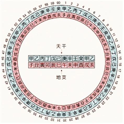 1996天干地支|干支对照表